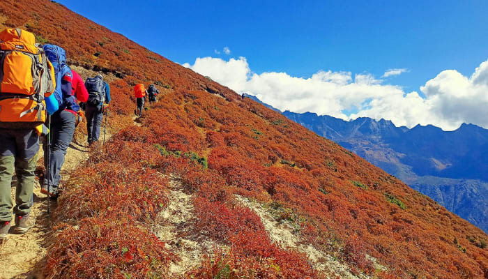 Yuksom- Dzongri Trek (Kanchendzonga Trek)