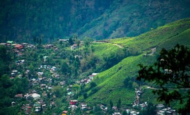 Darjeeling tour packages and trekking adventures