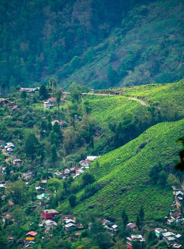 Darjeeling tour packages and trekking adventures