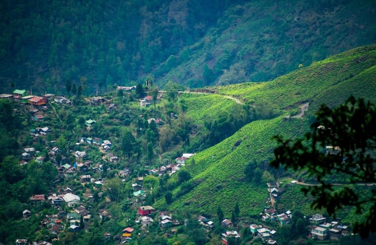 Darjeeling tour packages and trekking adventures