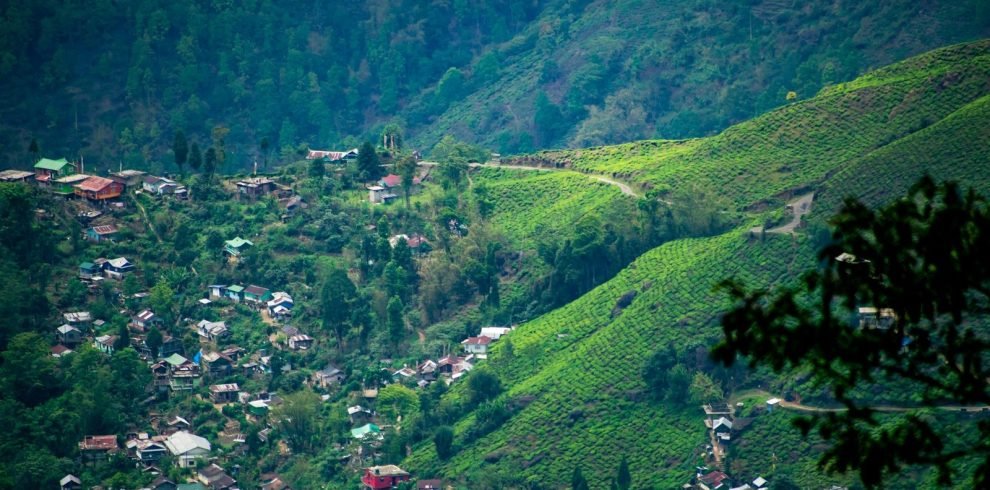 Darjeeling tour packages and trekking adventures